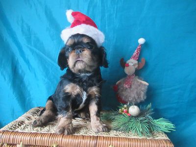 ����������.)