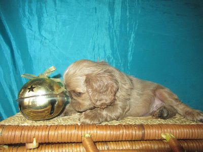 ����� ��������� �������.