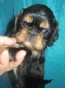 ����� �������������.