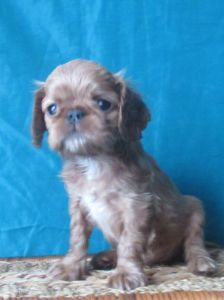 �����������, ������ �����������!)