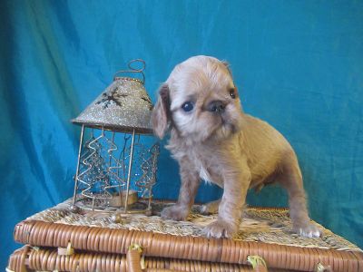 ���������  � �����������.)